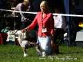 Olegro katrin Infinity On A High Chinese Crested
