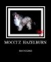 Mocci'z Hazelburn Chinese Crested