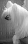 Game Girl Little Champs Chinese Crested
