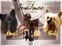 Burberry Gold Gattaca Chinese Crested