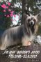 Mirbon's Juuso Chinese Crested