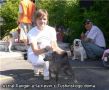 Astral Ranger A'la Kevin s Tushinskogo Doma Chinese Crested