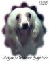 Taijan Dreamer Soft Ice Chinese Crested