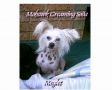 Mohawk Creaming Soda Chinese Crested
