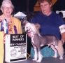 Mazar Dig For Gold Chinese Crested