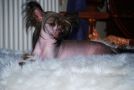 Cipracrest's Doolally  Chinese Crested