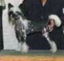 Obie's Bag of Tricks at Bbaums Chinese Crested