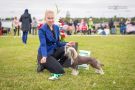 Very Special Princes de la Roses Chinese Crested