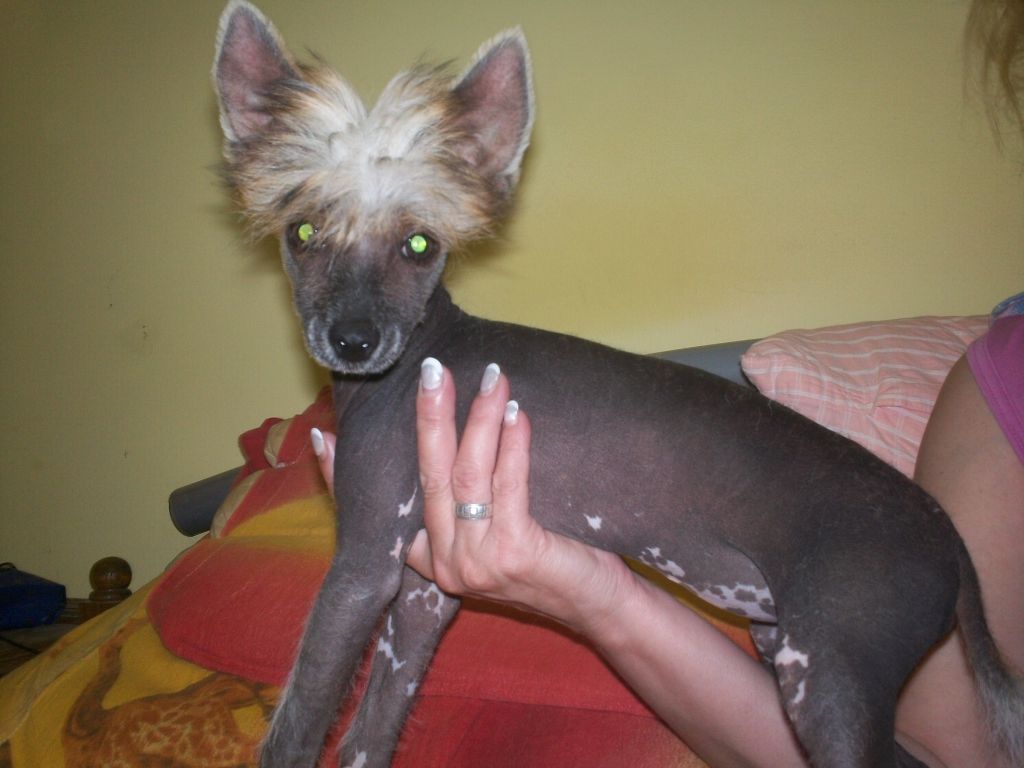 Birchvolgyi-True Pearl