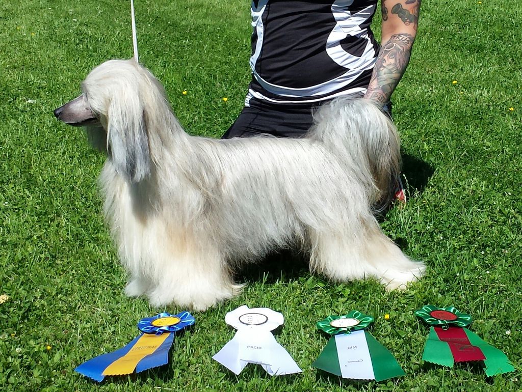 Oblivion Abandon all ships