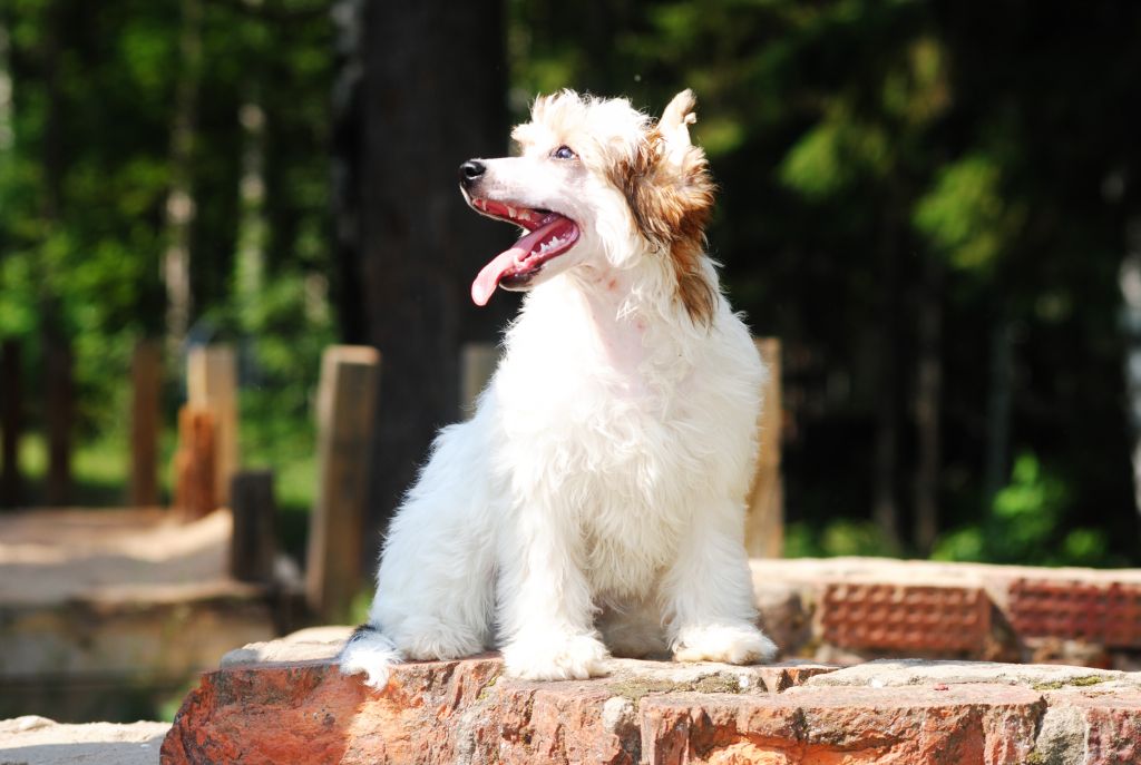 Grand Sunlife Zhozefina Bogarne