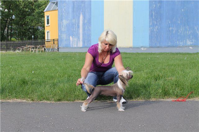 Melanies Rerity Katarinka