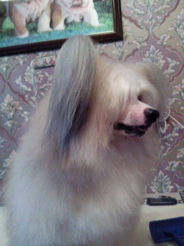 Landkris Aistea Jam Session