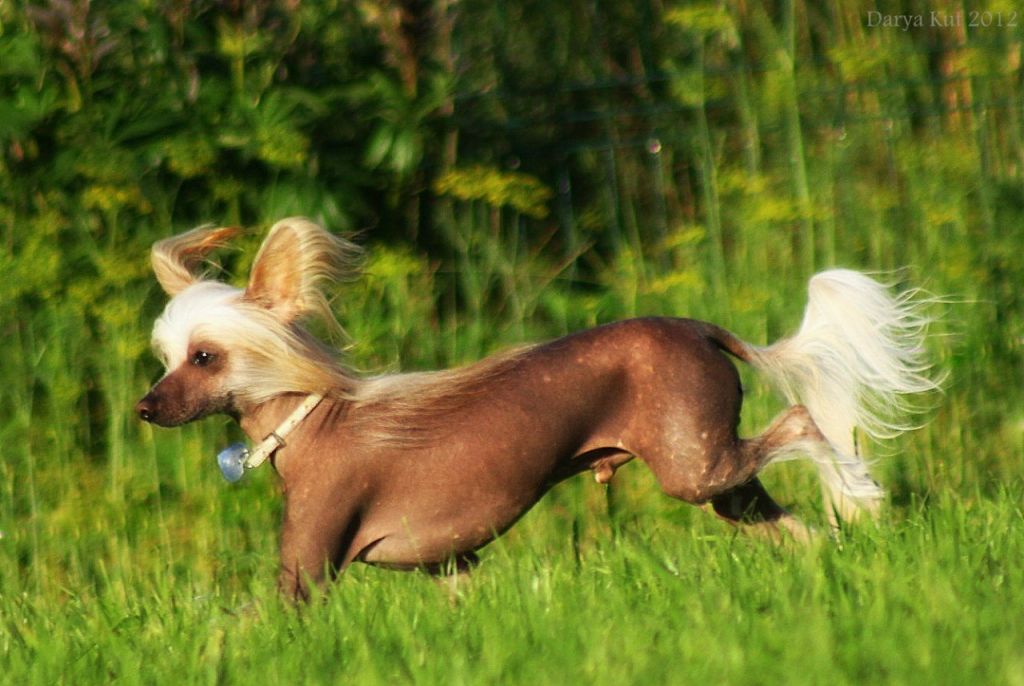 Sebastian Silver Rock