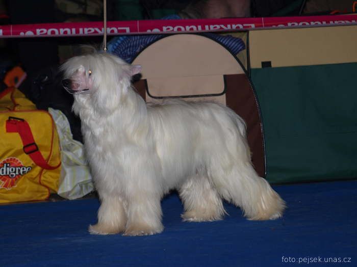 Zoom ze Zatopené chajdy