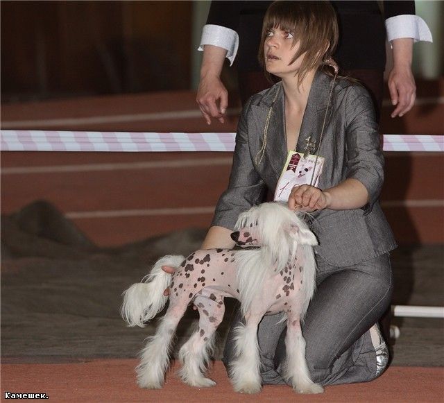 Kendi Boi s Altaiskoi Buhti