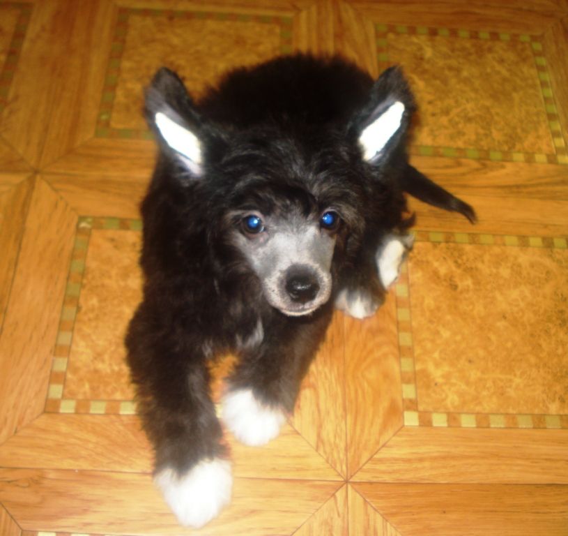 Exotic Paradise Yamaro