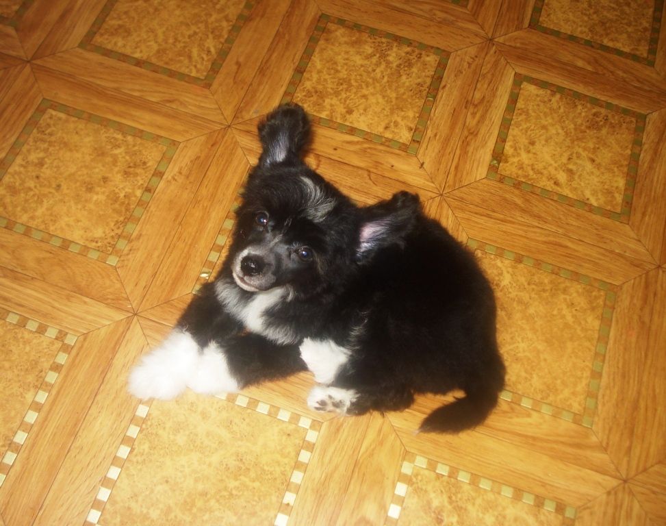 Exotic Paradise Yashiro