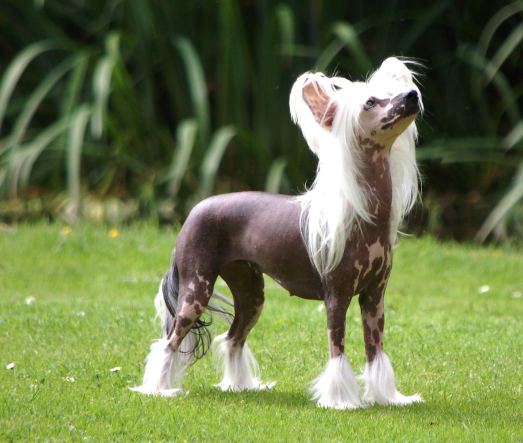 Prefix Fair Play On Broadway