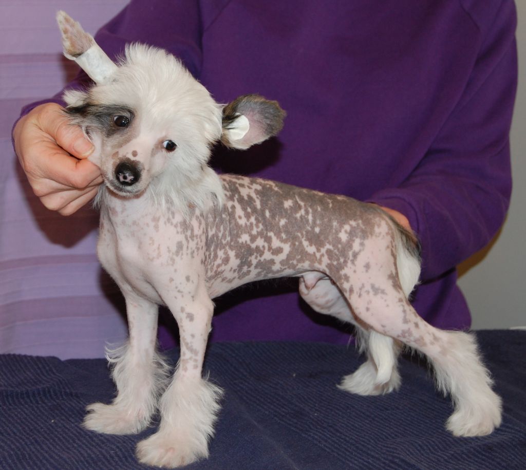 Prefix Manhattan Maddox