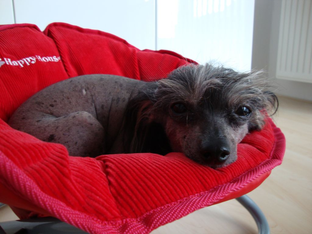 Newbourne Borntolove