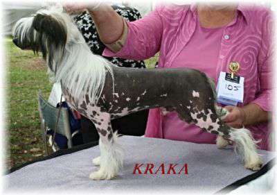 Liliah Just Because I Can