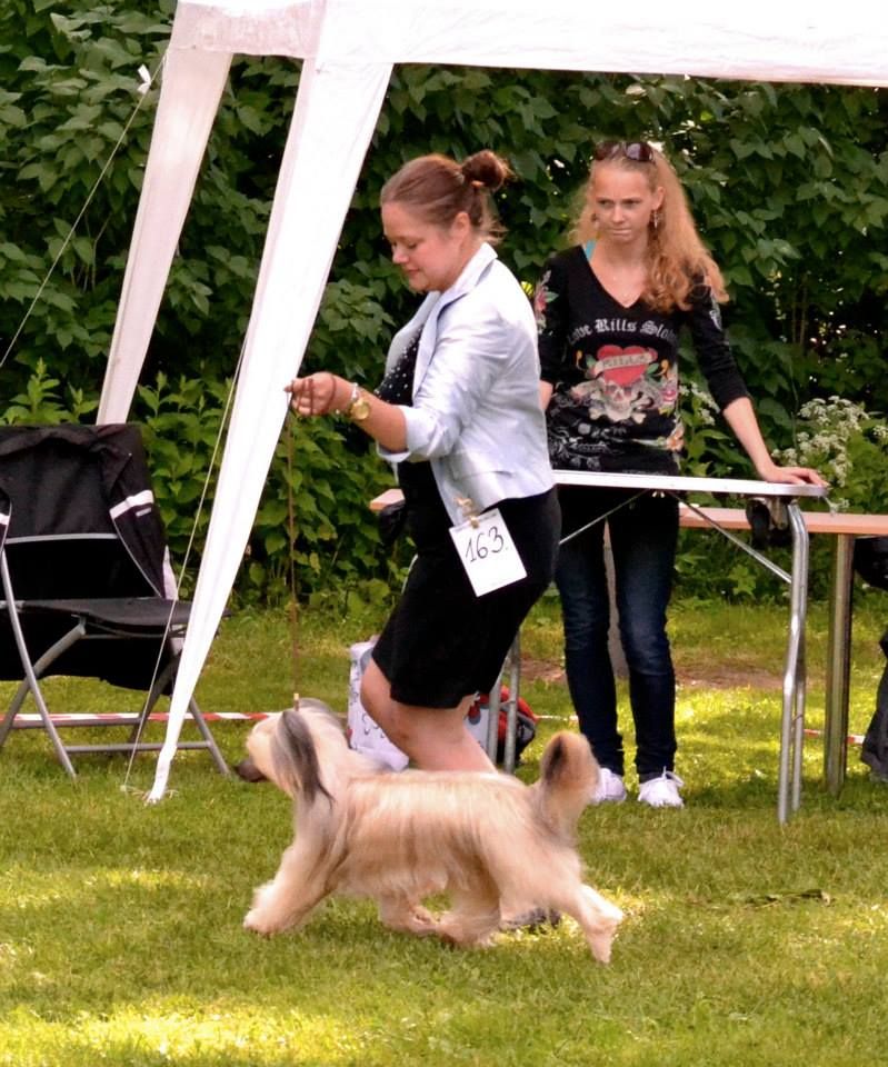 Royalette's Bob The Builder