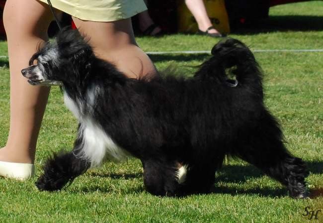 Ridgecrest's To Kill For