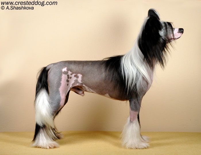 Angel Look Rock My World