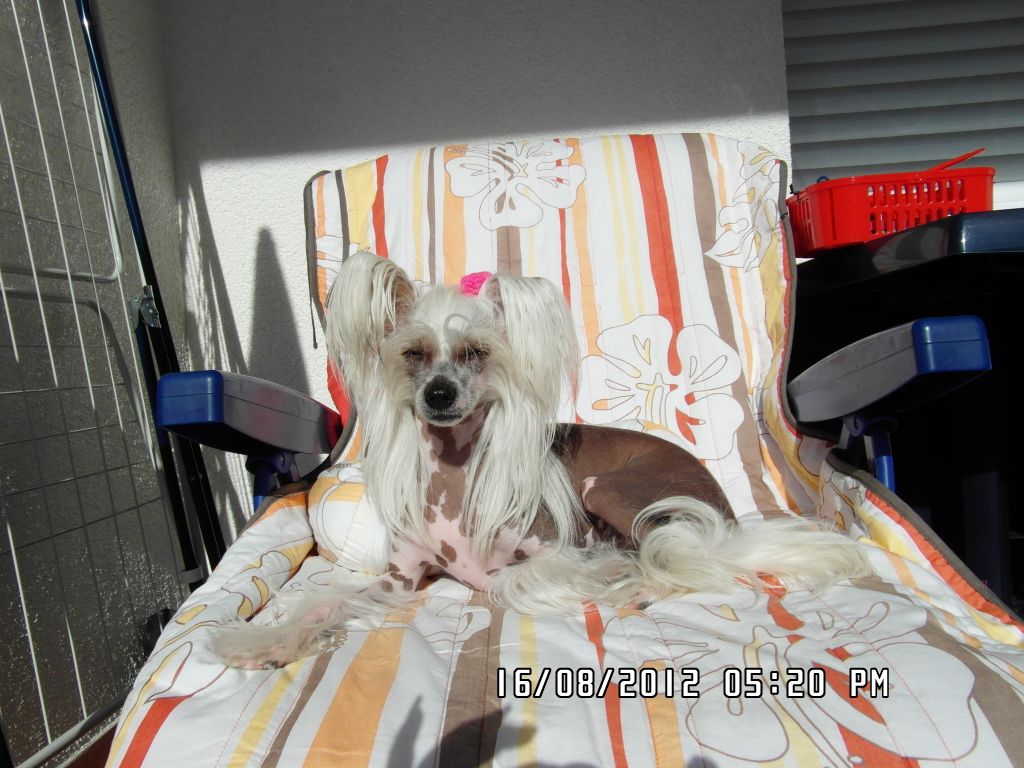 Etual Asandant Carina