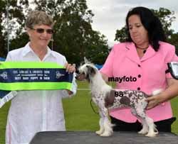 Gooalarabang Mr President