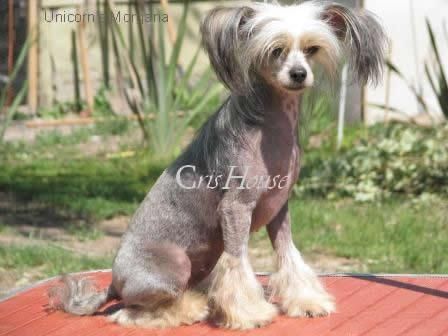 Montparnasse Morgana 