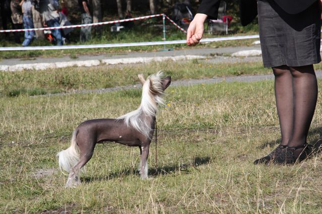 Eseniy Dolgojdannay iz Strany Kutha