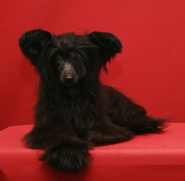 Dare to be All you want