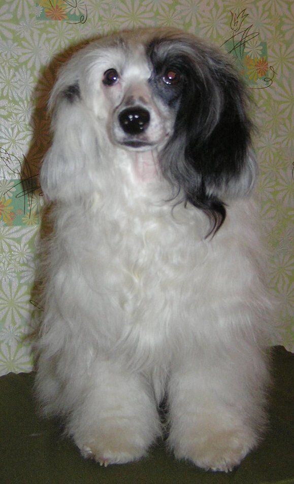 You Only You Gertruda