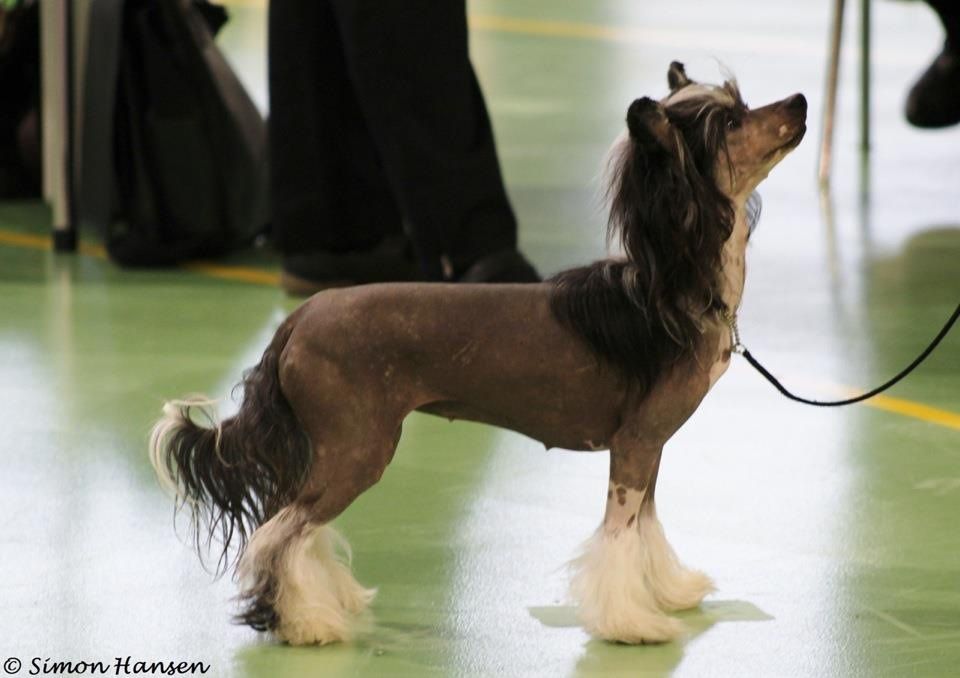 Sun-Hee's Diamonds & Pearls