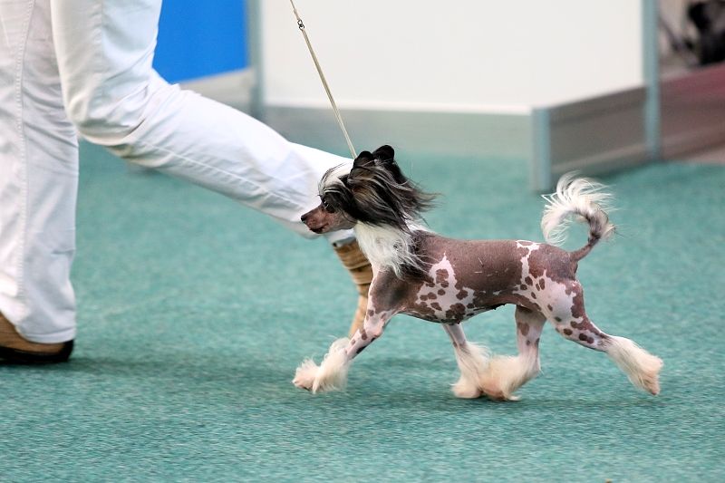 Sun-Hee's Drops of Jewelry