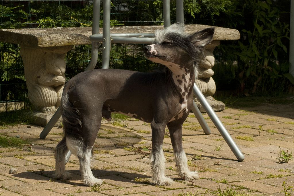 Blendverk's A Sound Of Thunder