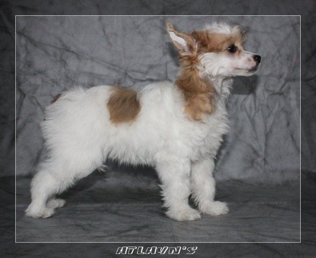 Elaina  Smayl iz Strany Kutha