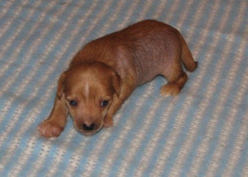 Lohamras You're in my heart