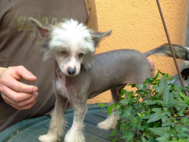 Maàlablya's Fidelio 