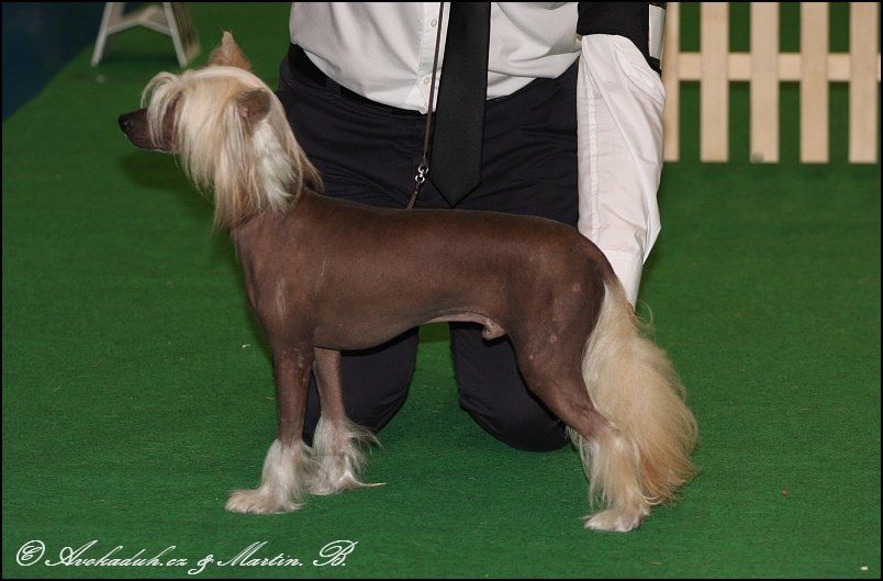 Danforth Queen Malverne