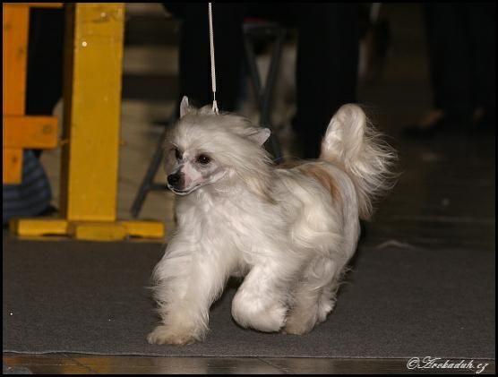 Diandra Queen Malverne