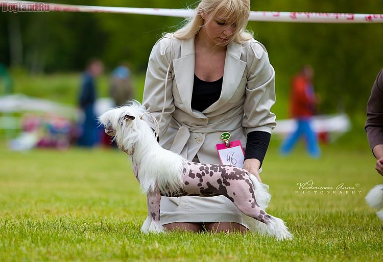 My Vanity Fair Indiscreet