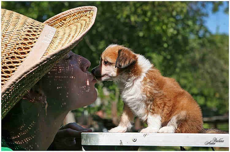 Olegro Katrin Patriciya