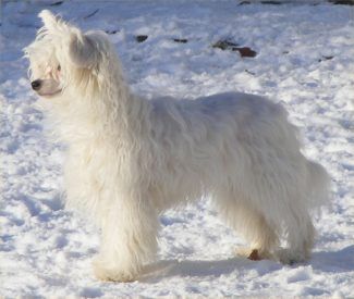  Donna Karan Di Casa Romano