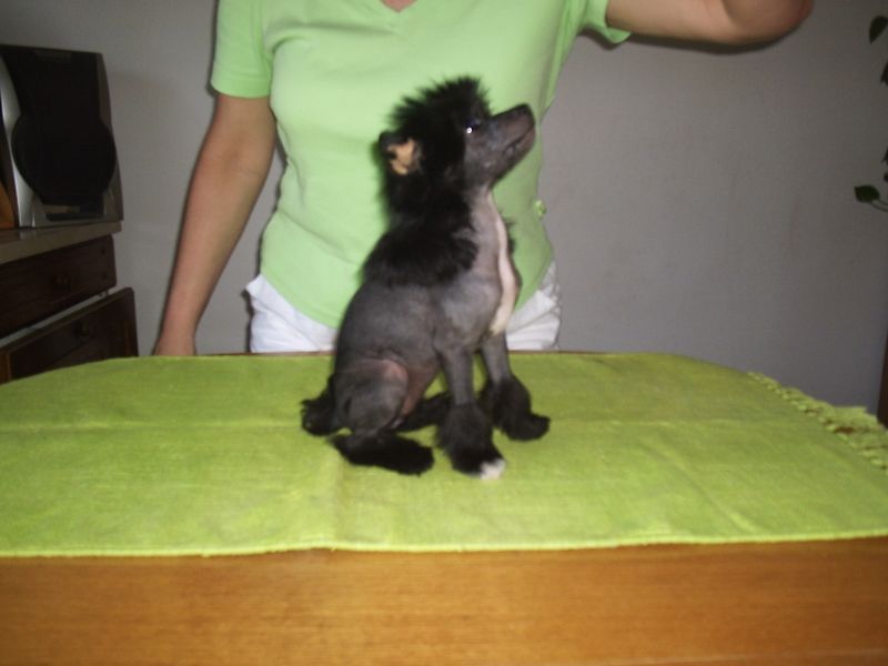 Alina Lux  Domenika Coppa Florio