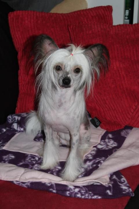 Lykaios Some Tough Love