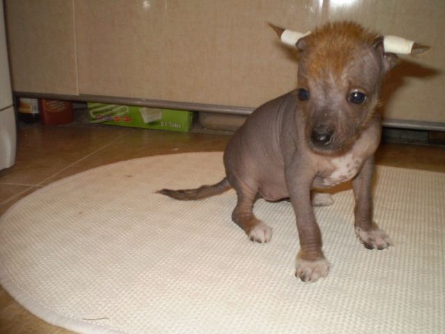 Girl 2