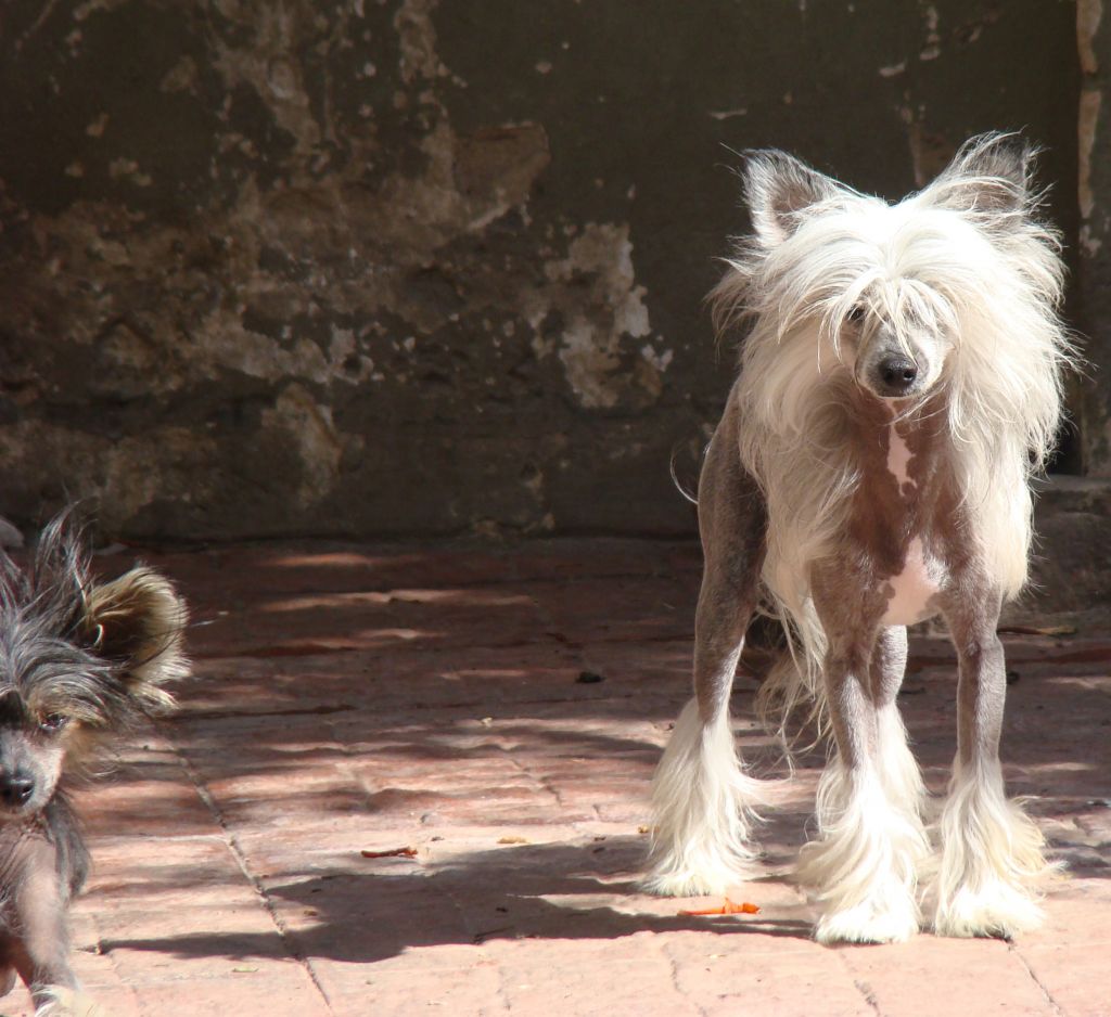 Patagonia Ranch Lucky Luke